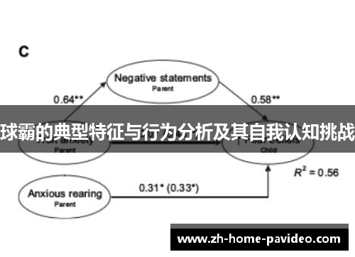 球霸的典型特征与行为分析及其自我认知挑战