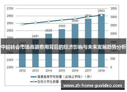 中超转会市场高额费用背后的经济影响与未来发展趋势分析