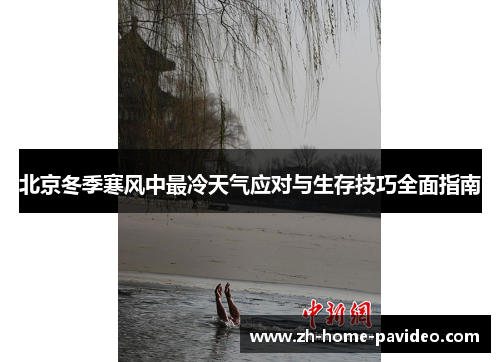 北京冬季寒风中最冷天气应对与生存技巧全面指南