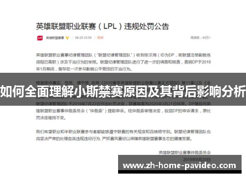 如何全面理解小斯禁赛原因及其背后影响分析