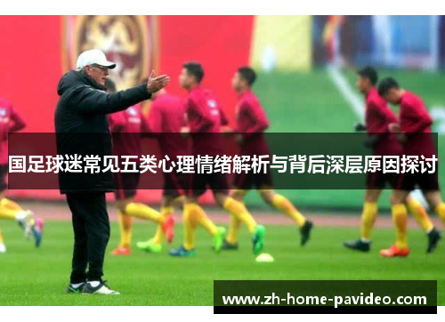 国足球迷常见五类心理情绪解析与背后深层原因探讨