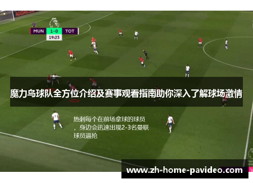 魔力鸟球队全方位介绍及赛事观看指南助你深入了解球场激情