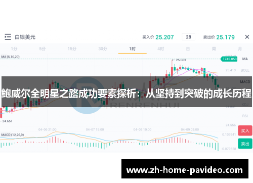鲍威尔全明星之路成功要素探析：从坚持到突破的成长历程